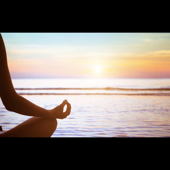 Meet your Posher, Susie - Picture 1 of 1